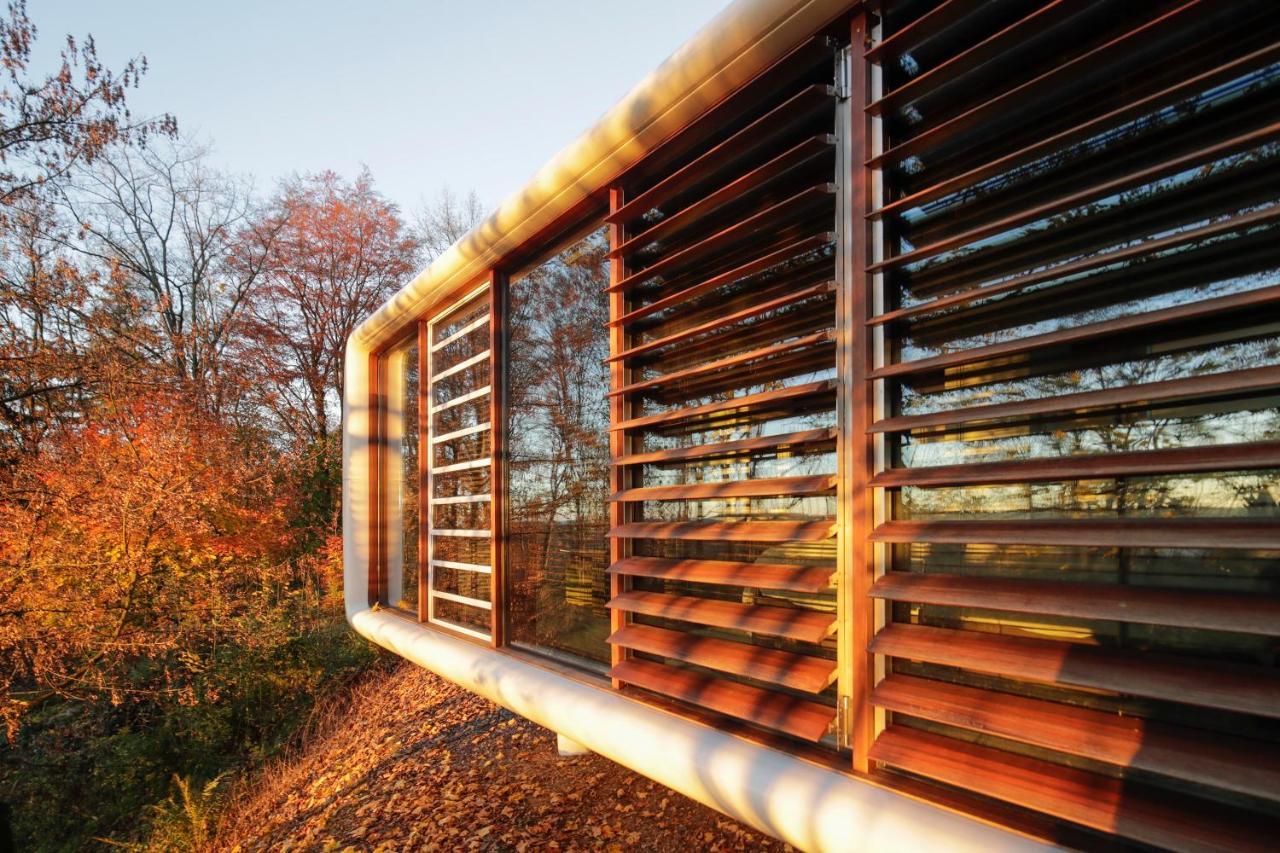 Domaine De Ronchinne - Insolites Maillen المظهر الخارجي الصورة
