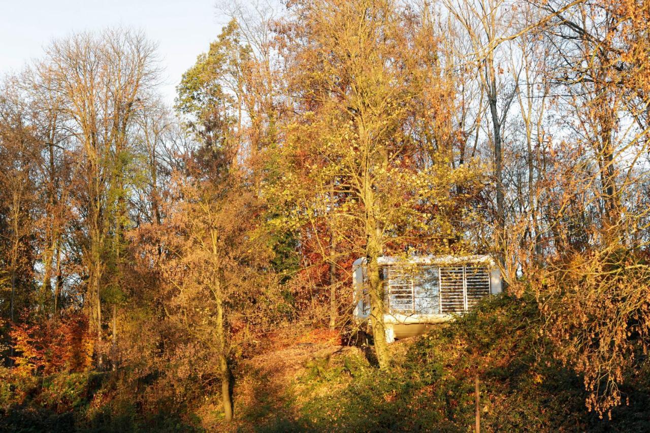 Domaine De Ronchinne - Insolites Maillen المظهر الخارجي الصورة