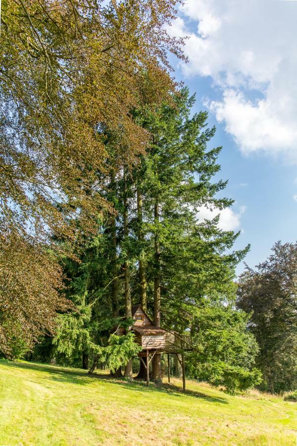 Domaine De Ronchinne - Insolites Maillen المظهر الخارجي الصورة