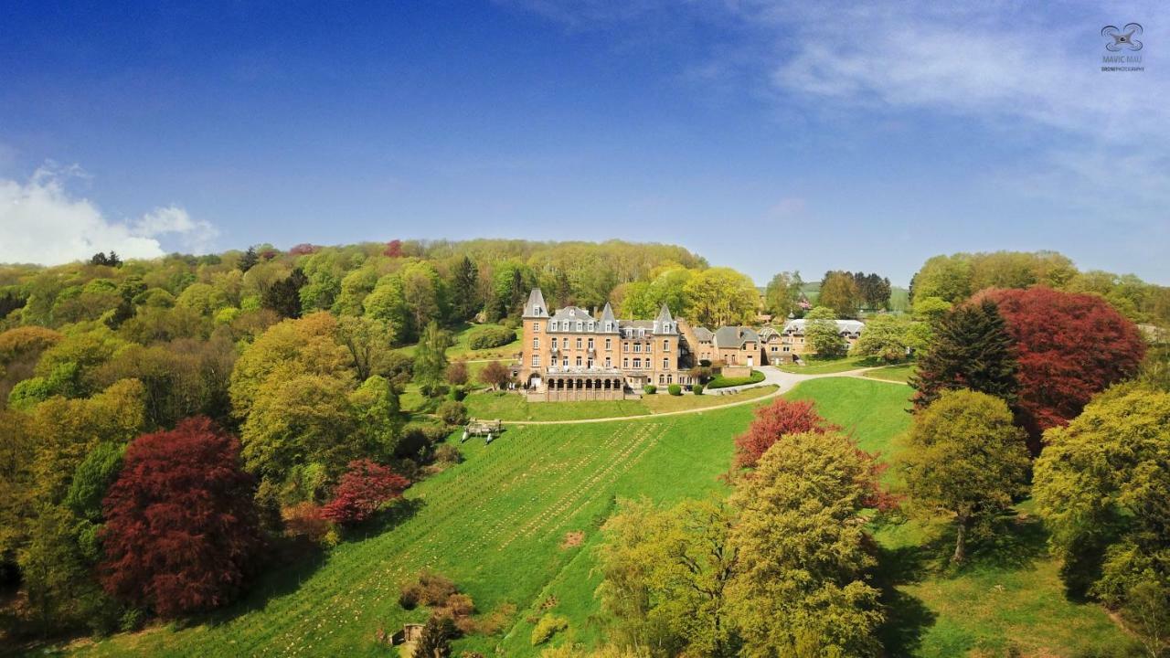Domaine De Ronchinne - Insolites Maillen المظهر الخارجي الصورة