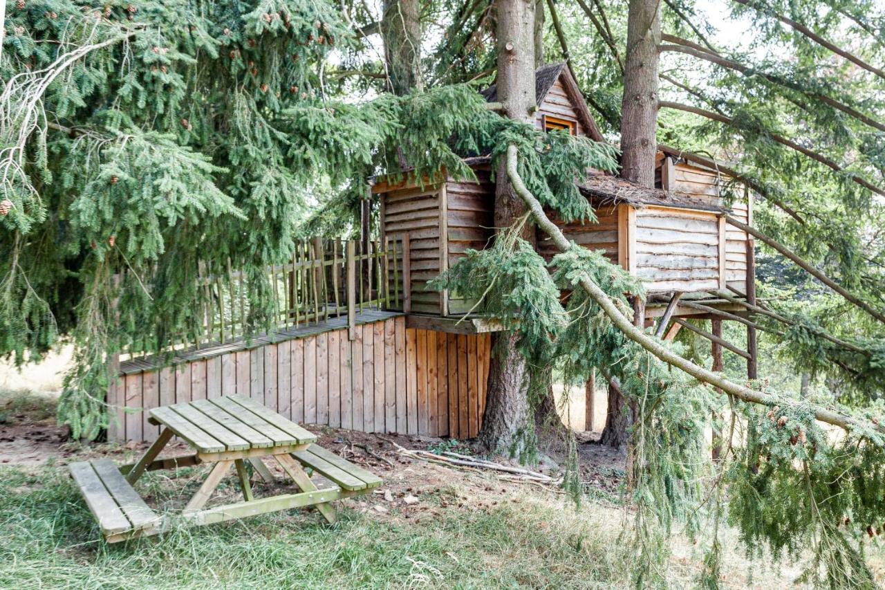 Domaine De Ronchinne - Insolites Maillen المظهر الخارجي الصورة